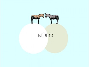 1993 – Mulo