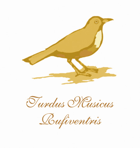 Turdus-Musicus