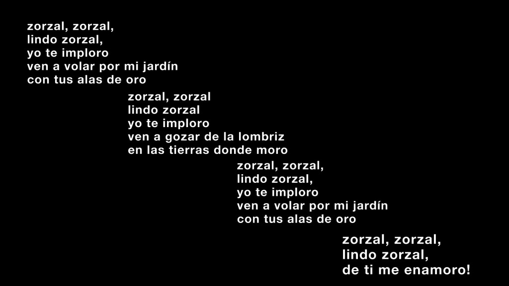 Zorzal Lyrics